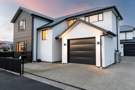 Photo of property in 1a Kings Avenue, South Dunedin, Dunedin, 9012