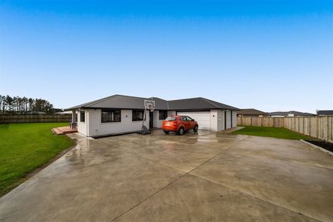 Photo of property in 12 Biron Place, Stratford, 4332