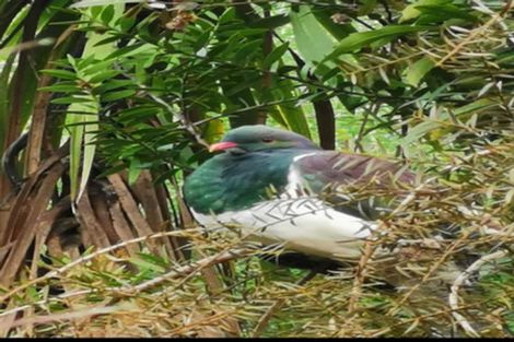 Photo of property in 233 Lloyd Valley Road, Thorpe, Motueka, 7196