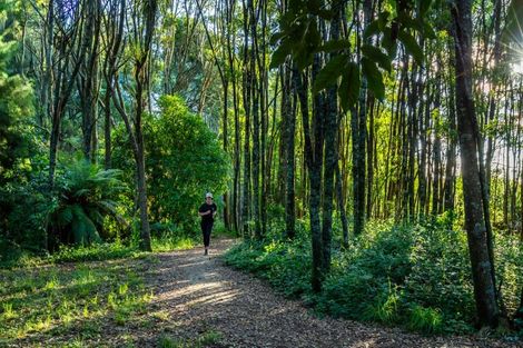 Photo of property in 8 Ribbonwood Lane, Kinloch, 3377