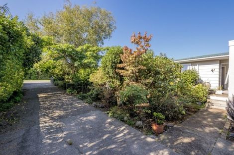 Photo of property in 84 Macarthur Street, Levin, 5510