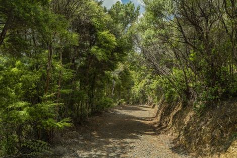 Photo of property in 57 Tarapatiki Drive, Whitianga, 3510