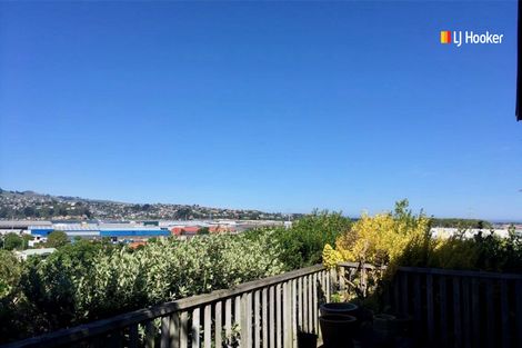 Photo of property in 24 Maitland Street, Dunedin Central, Dunedin, 9016