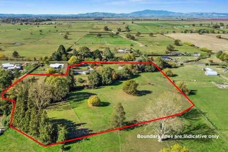 Photo of property in 66 Mill Road, Ohaupo, 3881