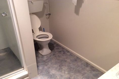 Photo of property in 3/17 Church Street, Hampstead, Ashburton, 7700