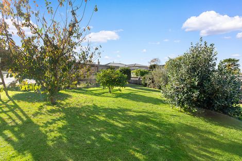 Photo of property in 165 Studholme Street, Morrinsville, 3300
