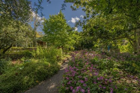 Photo of property in 895 State Highway 25, Whenuakite, Whitianga, 3591