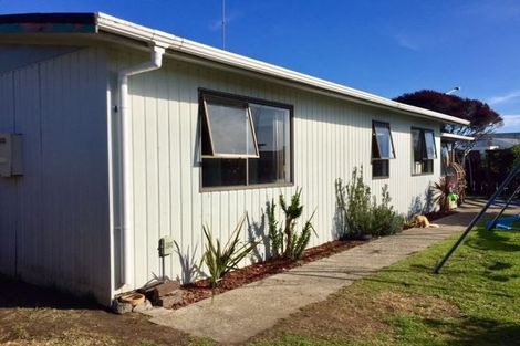 Photo of property in 50b Matavai Street, Mount Maunganui, 3116