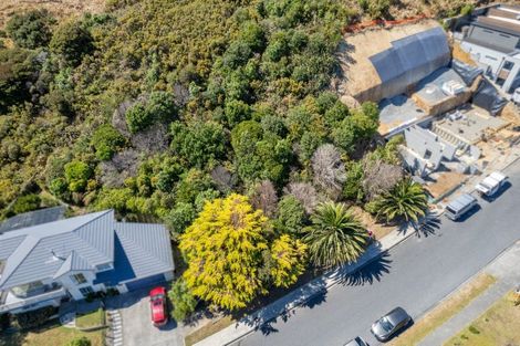 Photo of property in 45 Spyglass Lane, Whitby, Porirua, 5024