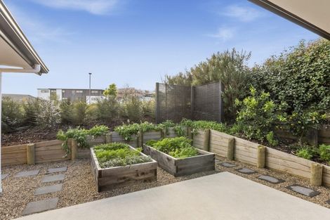 Photo of property in 4 Laly Haddon Place, Matakana, Warkworth, 0985