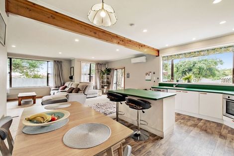 Photo of property in 17 Cryer Street, Southbridge, 7602