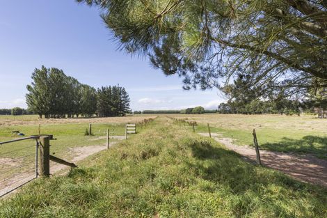 Photo of property in 538b Milson Line, Newbury, Palmerston North, 4478