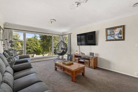 Photo of property in 204 Tiro Tiro Road, Levin, 5510