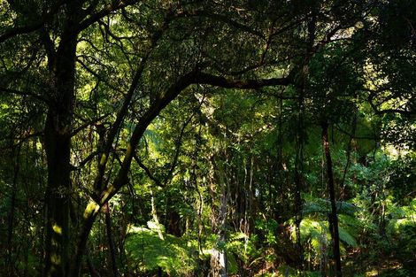 Photo of property in 1039e Work Road, Whakamarama, Katikati, 3181