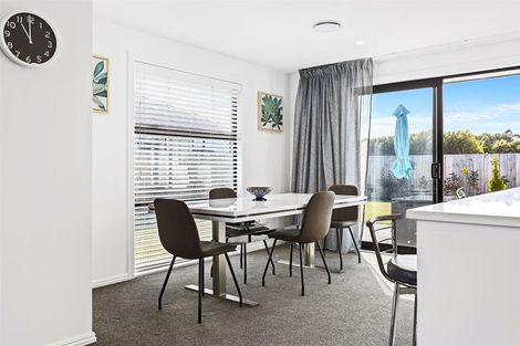 Photo of property in 45 Mcquillan Avenue, Woodend, 7610