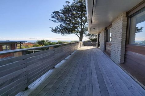 Photo of property in 162a Vivian Street, New Plymouth, 4310