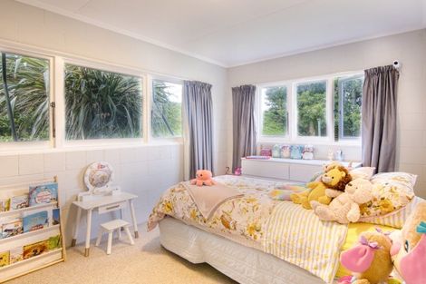 Photo of property in 493 Ruahine Street, Terrace End, Palmerston North, 4410