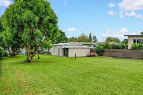 Photo of property in 41 Henderson Street, Whakatane, 3120