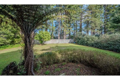 Photo of property in 15 Hawkings Crescent, Kerikeri, 0230