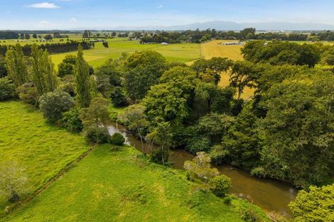 Photo of property in 6 Seales Road, Morrinsville, 3374