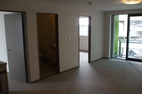 Photo of property in Dual Apartments, 201/142 Vivian Street, Te Aro, Wellington, 6011