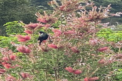 Photo of property in 31 Melody Lane, Horahora, Whangarei, 0110