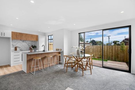 Photo of property in 57b Ruskin Street, Addington, Christchurch, 8024