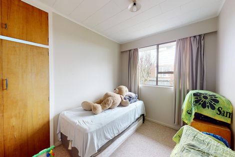 Photo of property in 52 Suffolk Street, Hampstead, Ashburton, 7700