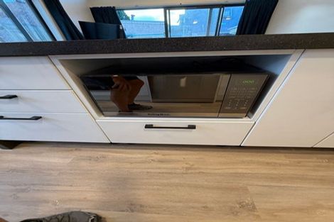 Photo of property in 160 Albany Street, North Dunedin, Dunedin, 9016