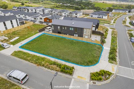 Photo of property in 64 Michael Bosher Way, Flat Bush, Auckland, 2019
