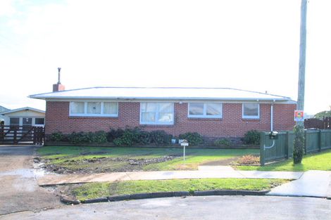 Photo of property in 20 Picton Street, Papatoetoe, Auckland, 2024