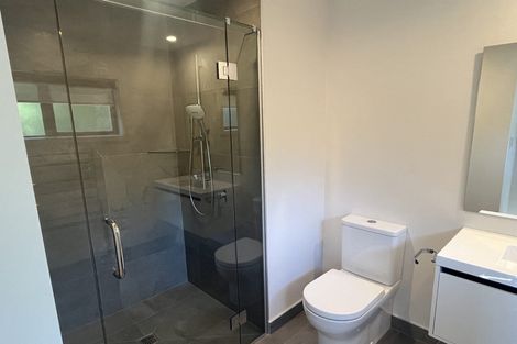 Photo of property in 10a Knowles Street, Terrace End, Palmerston North, 4410