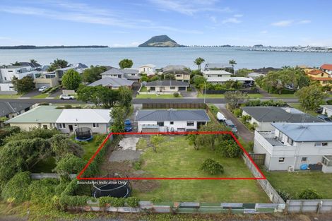 Photo of property in 22a Kulim Avenue, Otumoetai, Tauranga, 3110