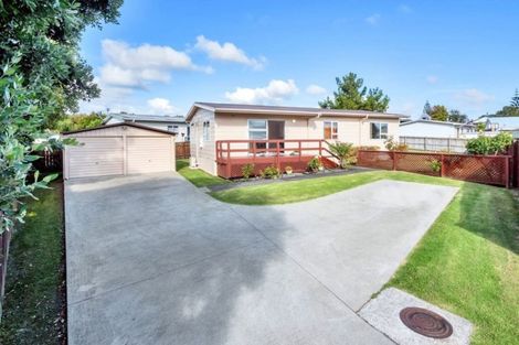 Photo of property in 54 Hindmarsh Street, Henderson, Auckland, 0612