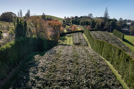 Photo of property in 394 Old Highway, Whakamarama, 3180