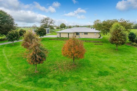 Photo of property in 488 Ryburn Road, Ohaupo, 3883