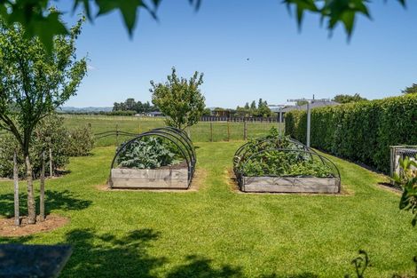 Photo of property in 3236 State Highway 2, Clareville, Carterton, 5713