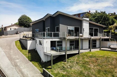 Photo of property in 10 Carson Street, Mornington, Dunedin, 9011