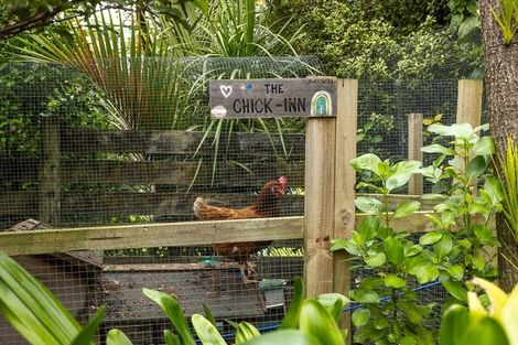 Photo of property in 50 Swann Beach Road, Stanmore Bay, Whangaparaoa, 0932