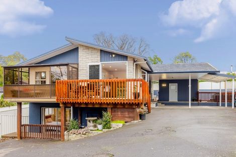 Photo of property in 60 Mchardy Street, Havelock North, 4130