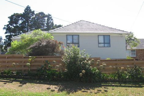 Photo of property in 10 Kohekohe Street, New Lynn, Auckland, 0600