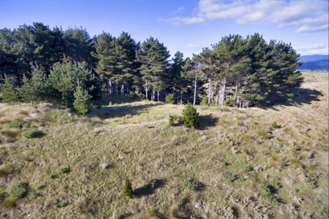 Photo of property in 101 Emma Drive, Manakau, 5573