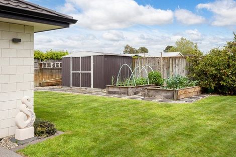 Photo of property in 3 Kelso Place, Matamata, 3400