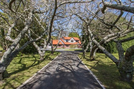 Photo of property in 13b Astelia Drive, Omokoroa, 3114