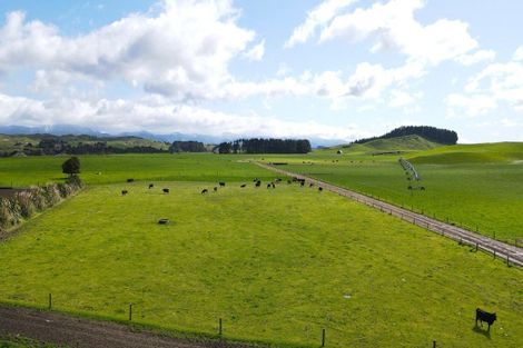 Photo of property in 569 Maunga Road, Dannevirke, 4976