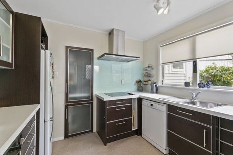Photo of property in 41 Priscilla Crescent, Kingston, Wellington, 6021