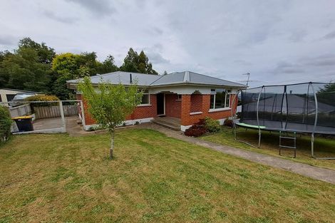 Photo of property in 410 Taieri Road, Halfway Bush, Dunedin, 9010