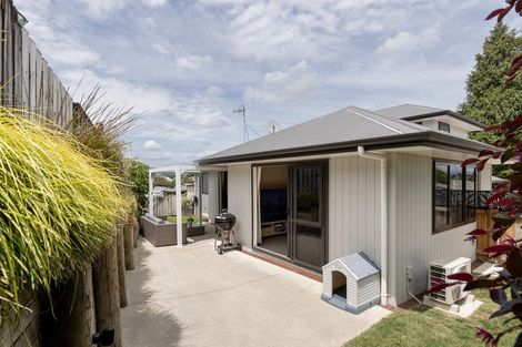 Photo of property in 20a Lincoln Terrace, Gate Pa, Tauranga, 3112