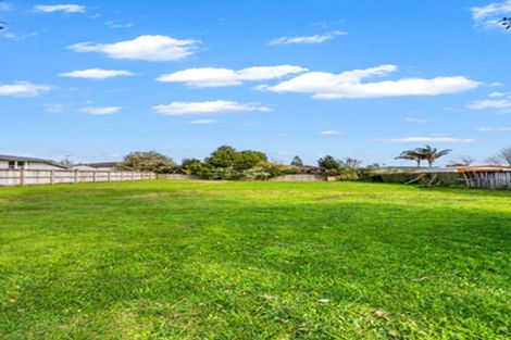 Photo of property in 189 Old Wairoa Road, Papakura, 2110