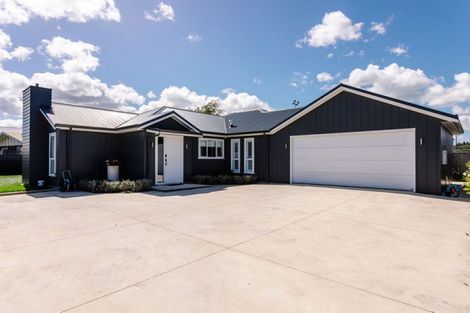 Photo of property in 39a Mcphee Street, Dannevirke, 4930